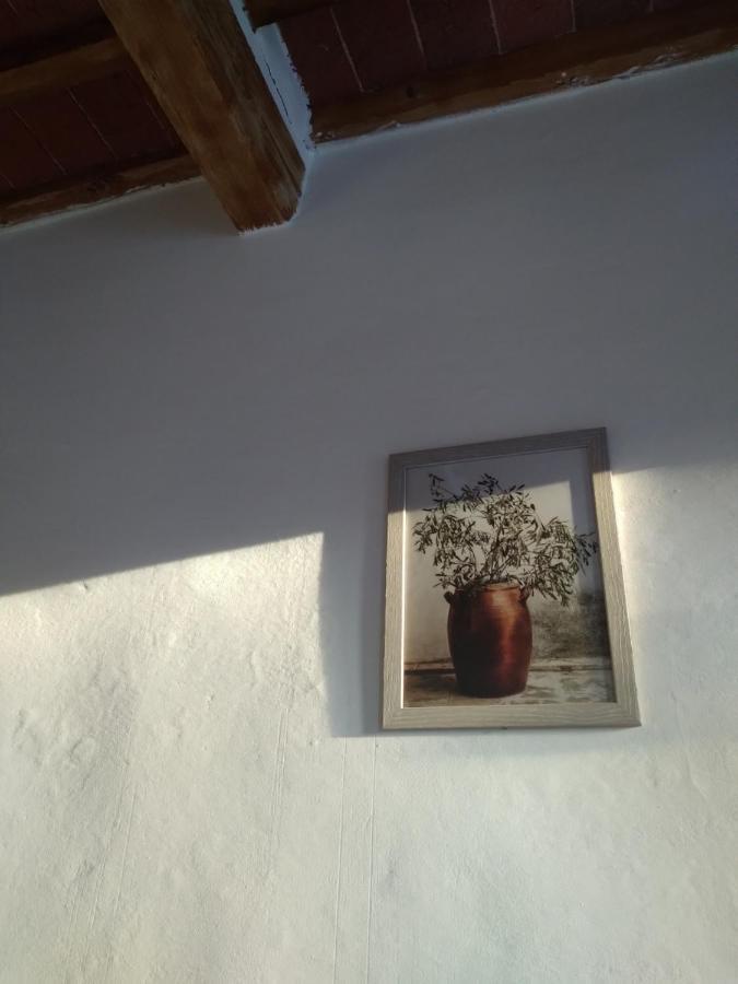 Lotte'S Guesthouse Λιβόρνο Εξωτερικό φωτογραφία