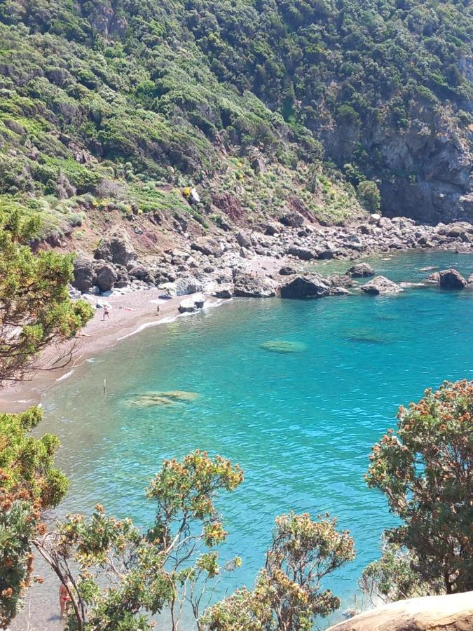 Lotte'S Guesthouse Λιβόρνο Εξωτερικό φωτογραφία